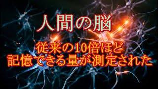 10倍の量の情報を保存できる脳