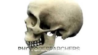 Human Skull Rotation - Photo Researchers