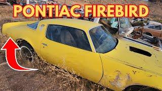 Exploring Hidden Automotive Treasures at a Junk Yard on Route 66