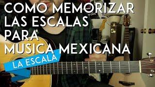 Como SACAR y MEMORIZAR LAS ESCALAS rapidamente! - Tutorial Guitarra - LA ESCALA