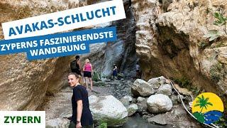 Avakas-Schlucht auf Zypern: Tipps & Highlights für deine Wanderung