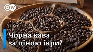 Дефіцит кави у світі: ціни зростають через зміну клімату | DW Ukrainian
