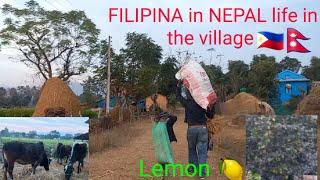 FILIPINA in NEPAL life in the village | NgayOn Lang ulit ako naka punta dito grabe kaba ko