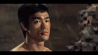 Trích đoạn những trận đấu hay của lí tiểu long,, huyền thoại bruce lee.