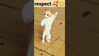 respect;pet #shorts #viralpet #love #funnyvideo