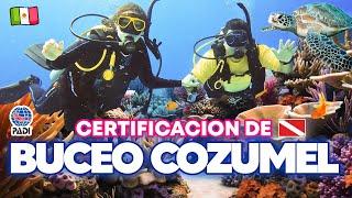 BUCEO EN COZUMEL  CERTIFICACION PADI de BUCEO  ¿Cuánto cuesta? El MEJOR BUCEO en MÉXICO  CANCUN