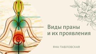 Виды праны: Прана, Удана, Вьяна, Самана, Апана - их значение и проявление | Яна Павловская