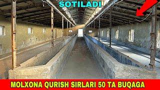 MOLXONA QURISH SIRLARI 50 TA BUQAGA 97.041.21.02 / 90.550.21.02 SOTILADI