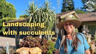 Diane's front yard was grass & birch trees, now its an award winning SUCCULENT PARADISE #Cactusquest