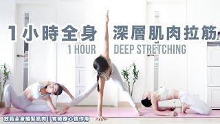 1 hour Deep Stretching | Full body muscle relaxation | Improve body figure & health