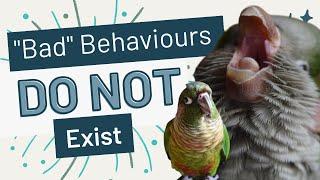 No Such Thing as "Bad" Behaviours | Topics