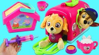 Paw Patrol Skye & Chase Use Pet Carrier to Visit Toy Doctor!