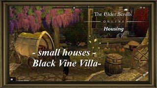 ESO Housing : Living Large in a Small House. Black Vine Villa/ Schwarzrankenvilla