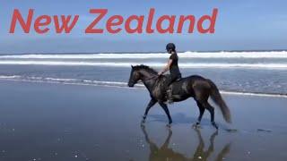 Feel Like You're There With Horse Riding in New Zealand!