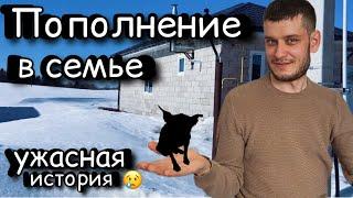 Новый питомец и история спасения| Установили душ | ВаняЛена