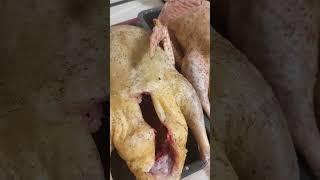 Индоутки...Мясо круглый год