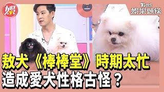 敖犬《棒棒堂》時期太忙 造成愛犬性格古怪？ 小姐姐請回答 20240816