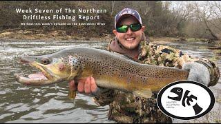 Wisconsin Northern Driftless Trout Fishing Report "Catching Big Trout" 5/4/23