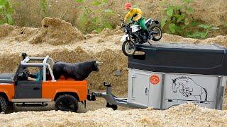 Funny animal theft toys trucks story | BIBO STUDIO