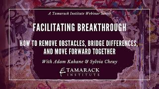 Facilitating Breakthrough | How to Remove Obstacles, Bridge Differences, and Move Forward Together
