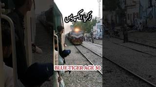 Queen Of Multan | Zakria Express With Blue Tiger AGE 30 #trainwalisarkar #ytshorts #shortsviral