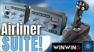 WinWing EFIS Panels & URSA MINOR Joystick Review: Affordable Realism for Flight Simmers!