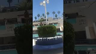 Palms pool Las Vegas