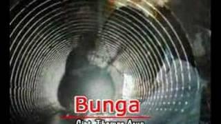 Thomas - Bunga