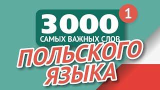   ПОЛЬСКИЕ СЛОВА – ЧАСТЬ #1 - 3000 самых важных слов 