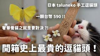 開箱史上最貴的逗貓頭！一顆逗貓頭台幣 590！要破產啦！和那堤開箱日本 taluneko 手工逗貓頭 EP121