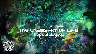 Tropical Bleyage - The Chemistry Of Life