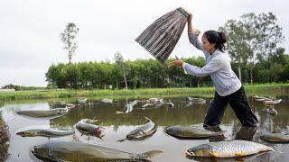 Catching Giant Snakehead Fish & Grilling Over Straw Fire | Countryside Girl’s Life