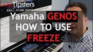 How to use Freeze on Yamaha Genos
