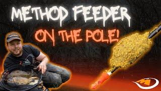 METHOD FEEDER ON THE POLE ️ You will NOT have seen this before EVER️
