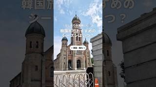 おすすめの韓国旅行シーズンはいつ？#newt #newtで海外旅行 #旅行 #海外旅行 #韓国旅行 #韓国