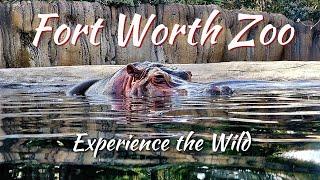 Fort Worth Zoo (Fort Worth, Texas) -    Season 2 | Episode 8