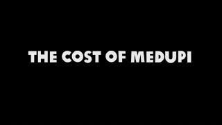 THE COST OF MEDUPI