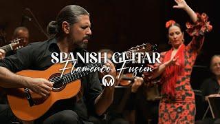 The Ultimate Flamenco Guitar Instrumental Fusion (Exclusive V. Playlist)