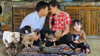 TAN & AN Take Care of Puppies – TAN Buys Supplements to Help An & Her Daughter Take Care of Them