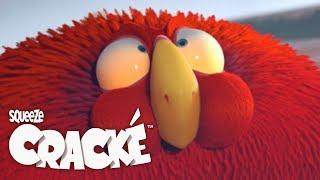 CRACKE - INFLATED | Compilation | Videos For Kids