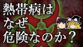 【共倒れ】なぜウイルスは宿主の命を奪うのか？【ゆっくり解説】