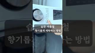 습한 여름철 향기롭게 세탁하는 방법 #살림브이로그 #여름세탁팁 #블랑101