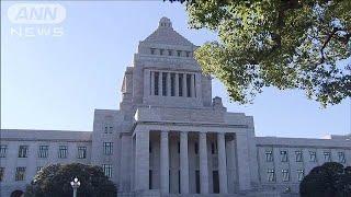 きょう特別国会召集 午後に総理大臣指名選挙(2024年11月11日)