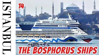 14. Bosphorus Ships and Historical Monuments  #Cargo ship #Cruise ship #Tanker ship #Container ship