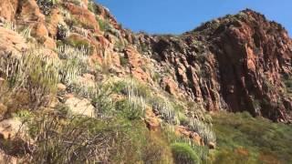 Tenerife. Risco Blanco, parque rural de Teno