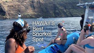Captain Cook Snorkeling Tour with Kona Snorkel Trips
