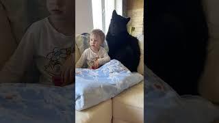 Волкособ Гул’Дан рядом с Яной 
