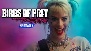 Birds of Prey EN 12 MINUTOS