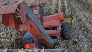 UniSystem Corn Picking Action Shots