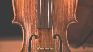 E String Violin